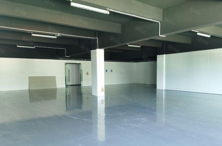 南山西丽500平，限时特价楼上19，一楼25元