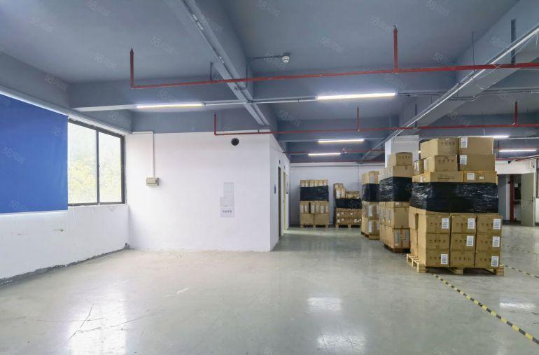 南山西丽主干道旁 新出独门独院 精装厂房620平 带喷淋