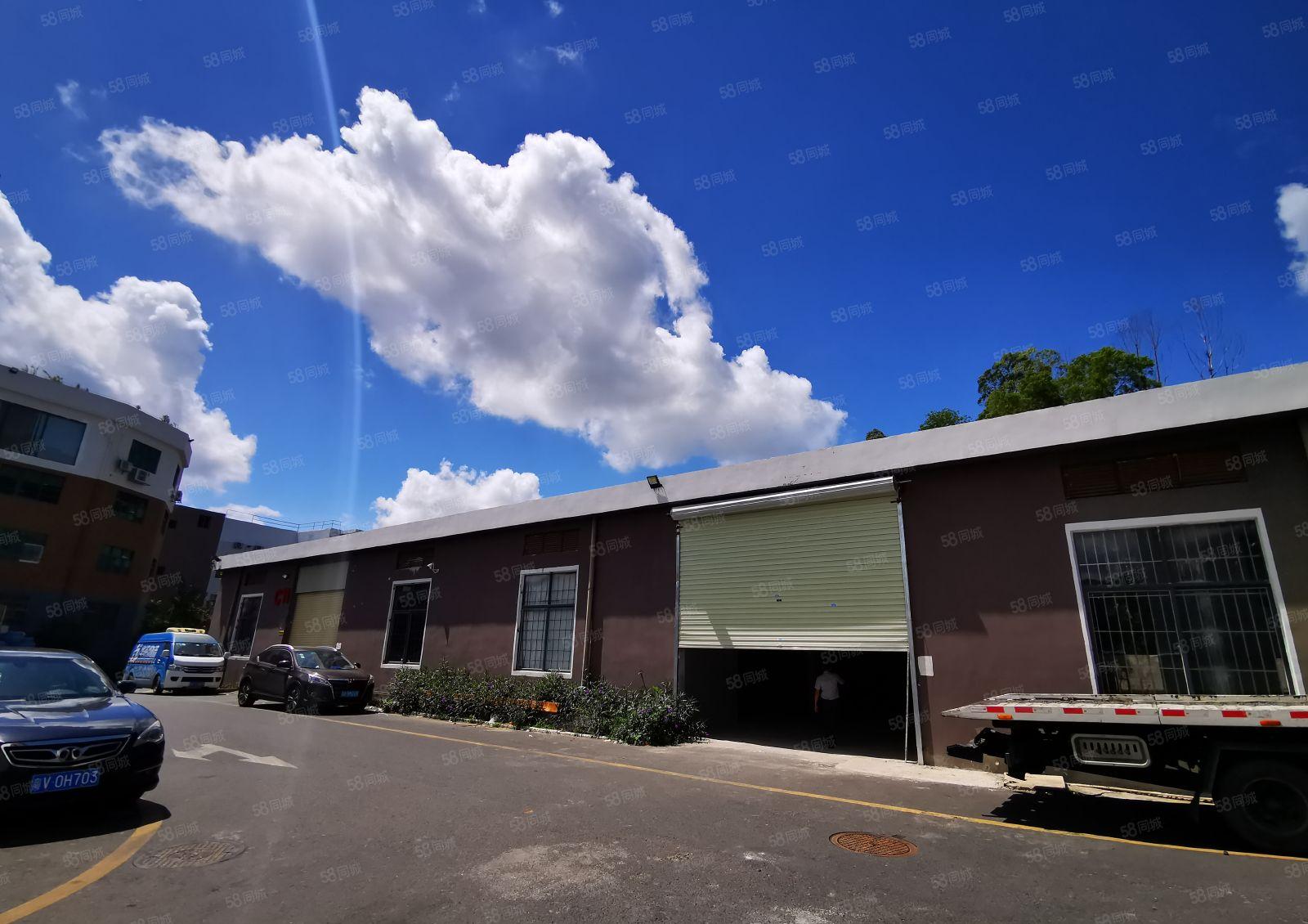 南山西丽 港大深校区附近 独院一楼钢构1100平 环境极好