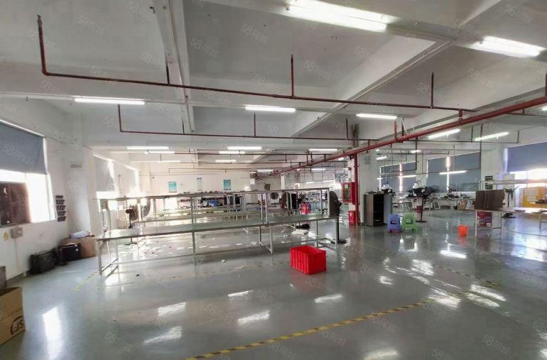 大浪南江工业园厂房300平500平900平1200平方出租