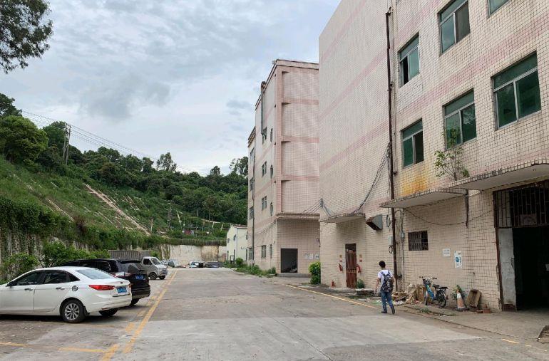 房东直租观澜独门独院工业园区红本厂房仓库宿舍