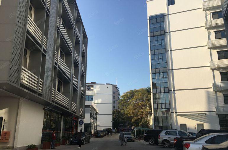 西丽龙珠大道产业园一楼650平招租，不限制行业