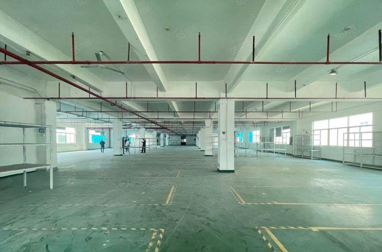 西丽主干道新出1500平红本厂房现成办公出租，500平起租