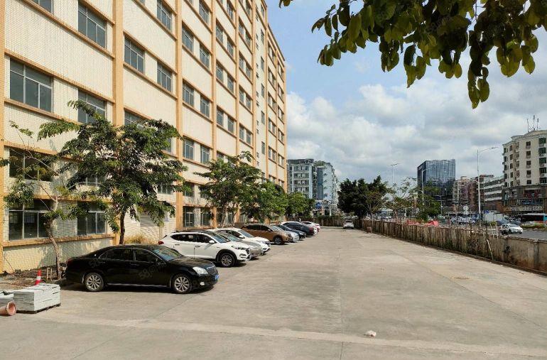 龙华主干道独院红本厂房出租5万平方共三栋适合教育培训展厅电商