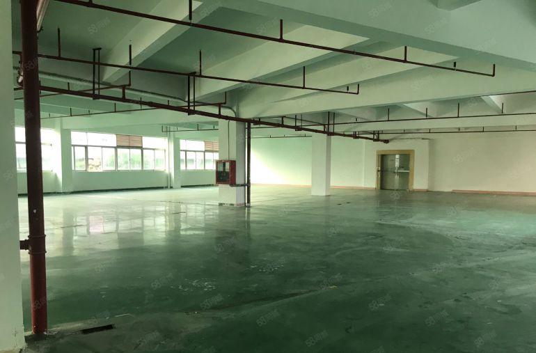 八卦岭科技园200平400平600平1000平厂房出租