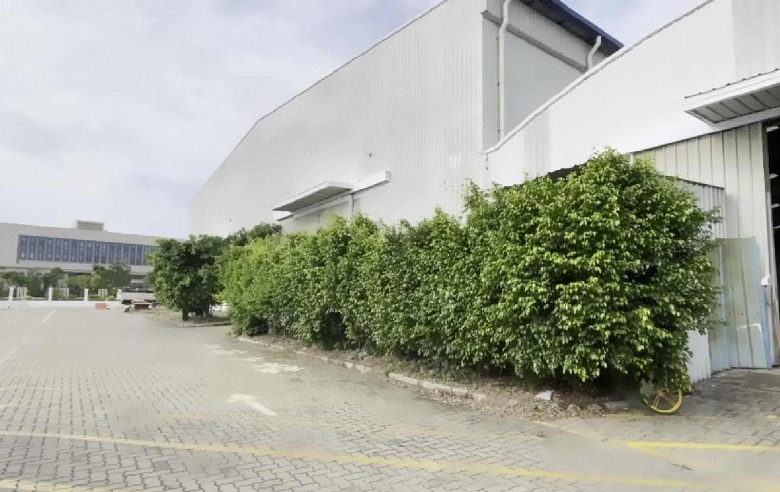 前海蛇口港高标准单一层仓库 2250平方 行业不限价格好谈