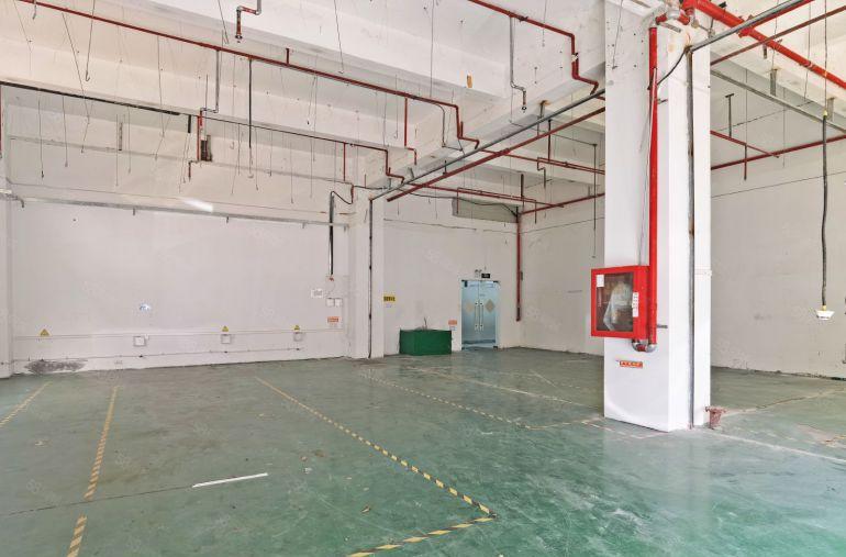 南山西丽，新出一楼315平，层高5.5米，可组合650平