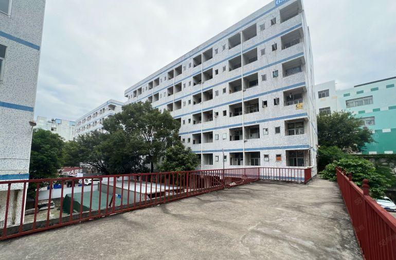 盐田附近大量宿舍楼出租50间100间带家私出租工程项目部