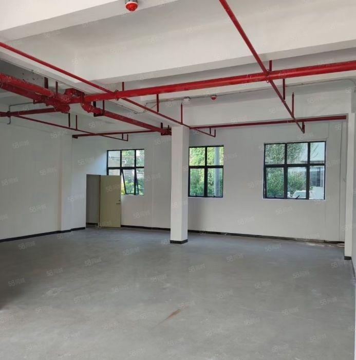 盐田港地铁口新出300平厂房，适合办公，仓库等