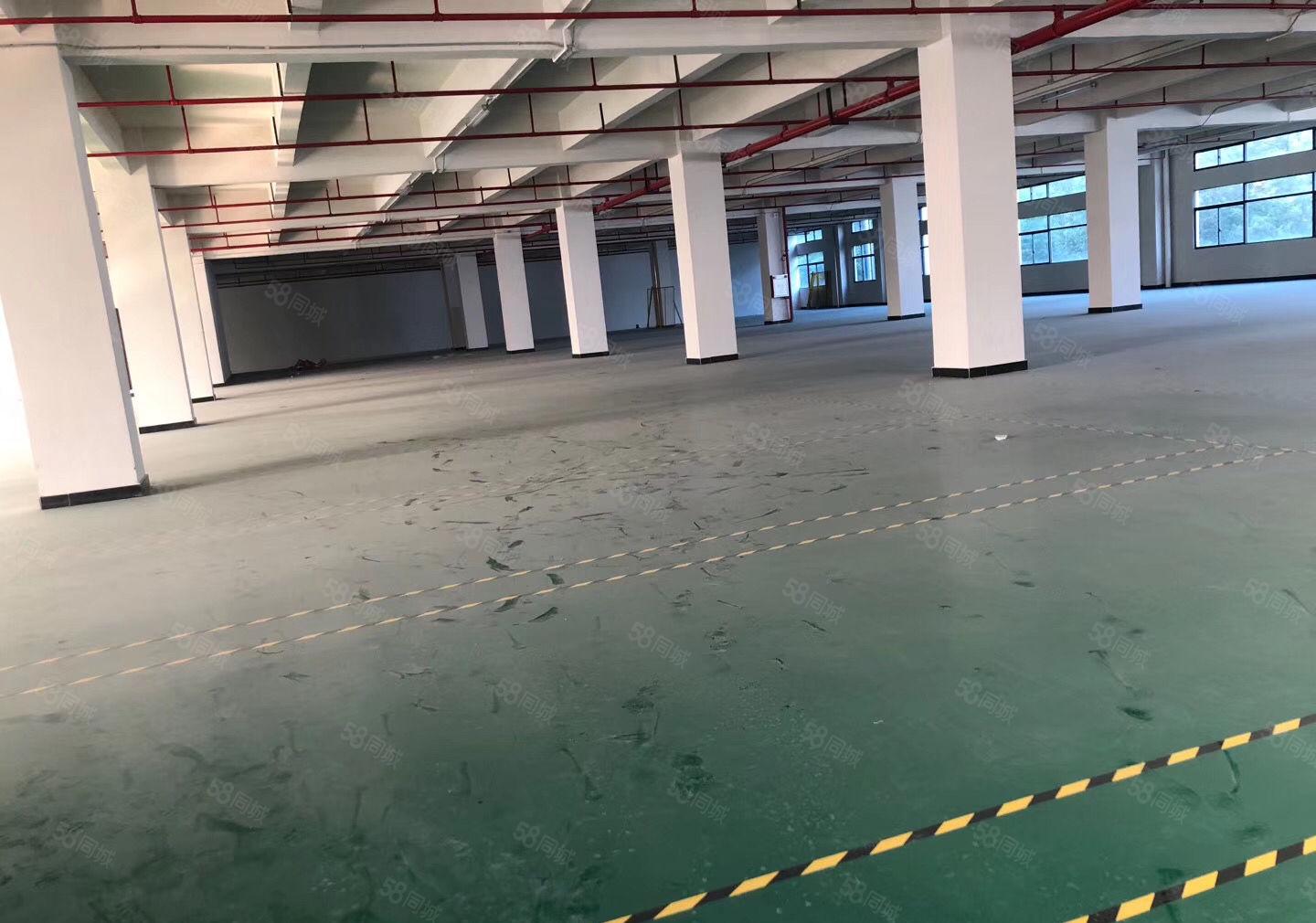 布吉草埔地铁站附近新出一楼1200平三楼1200平米厂房出租