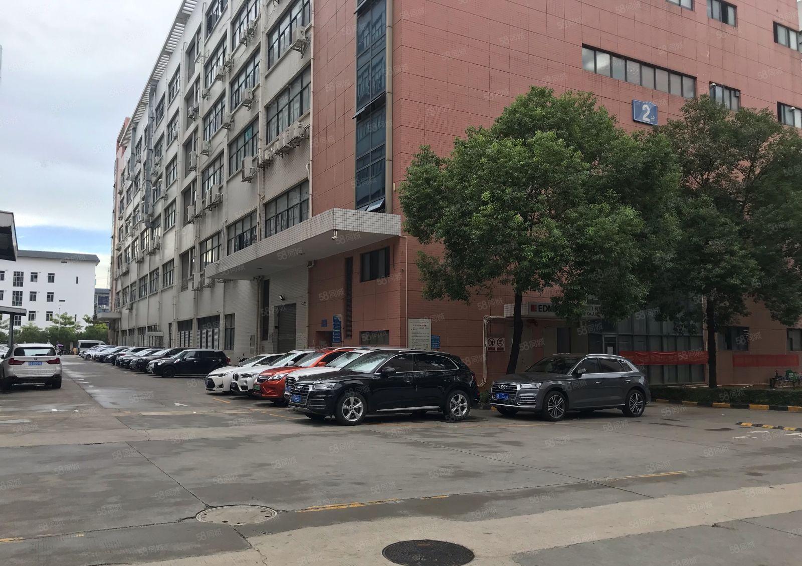 西丽百旺原房东一手物业红本厂房出租二楼2250平米