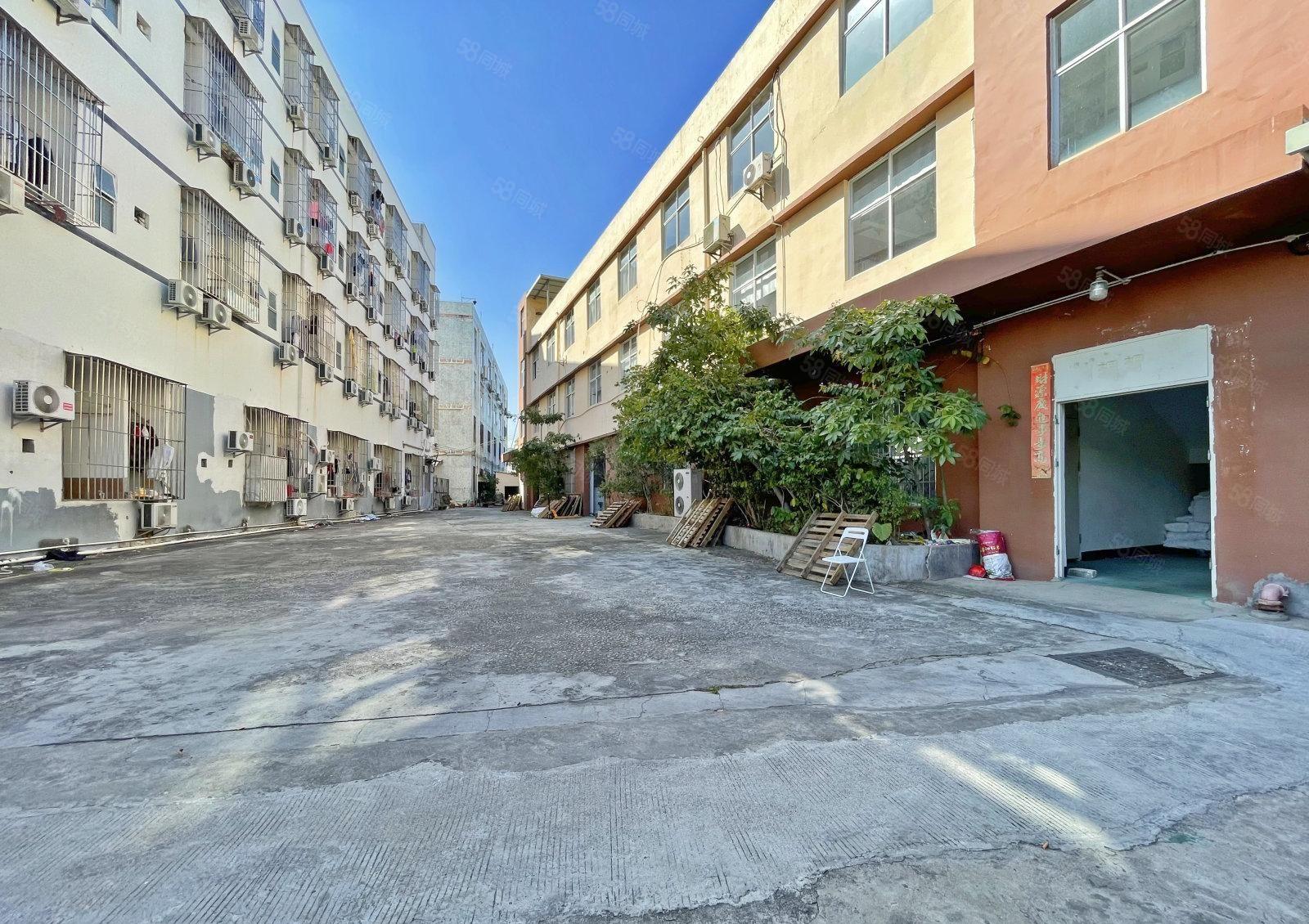 南山西丽经典独门独院三层2393平 院子大  带装修