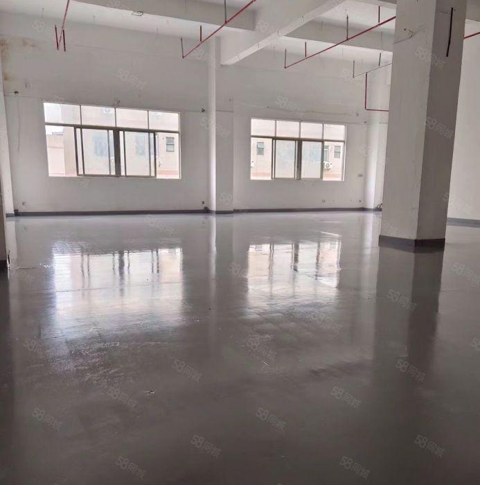 丹竹头石芽岭地铁站厂房200平700平至5000平可分租