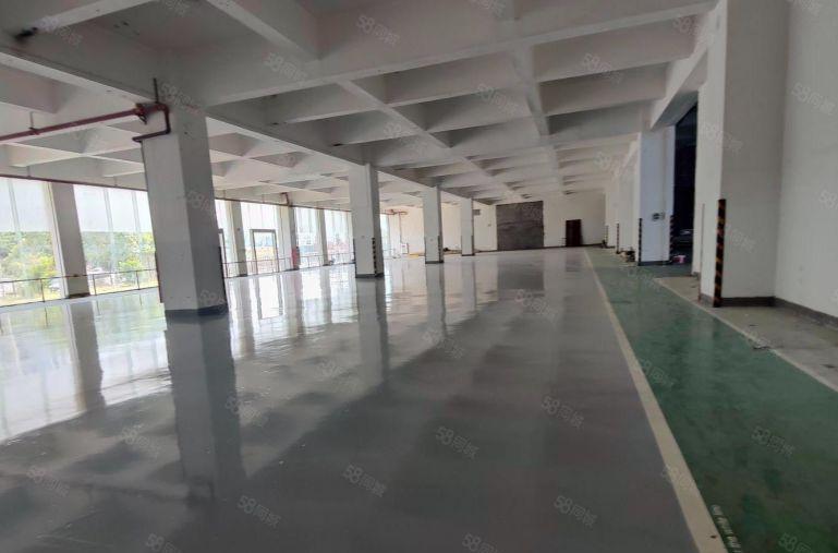 西丽 整栋独门独院原房东5000平方可自由分割 一楼层高6米