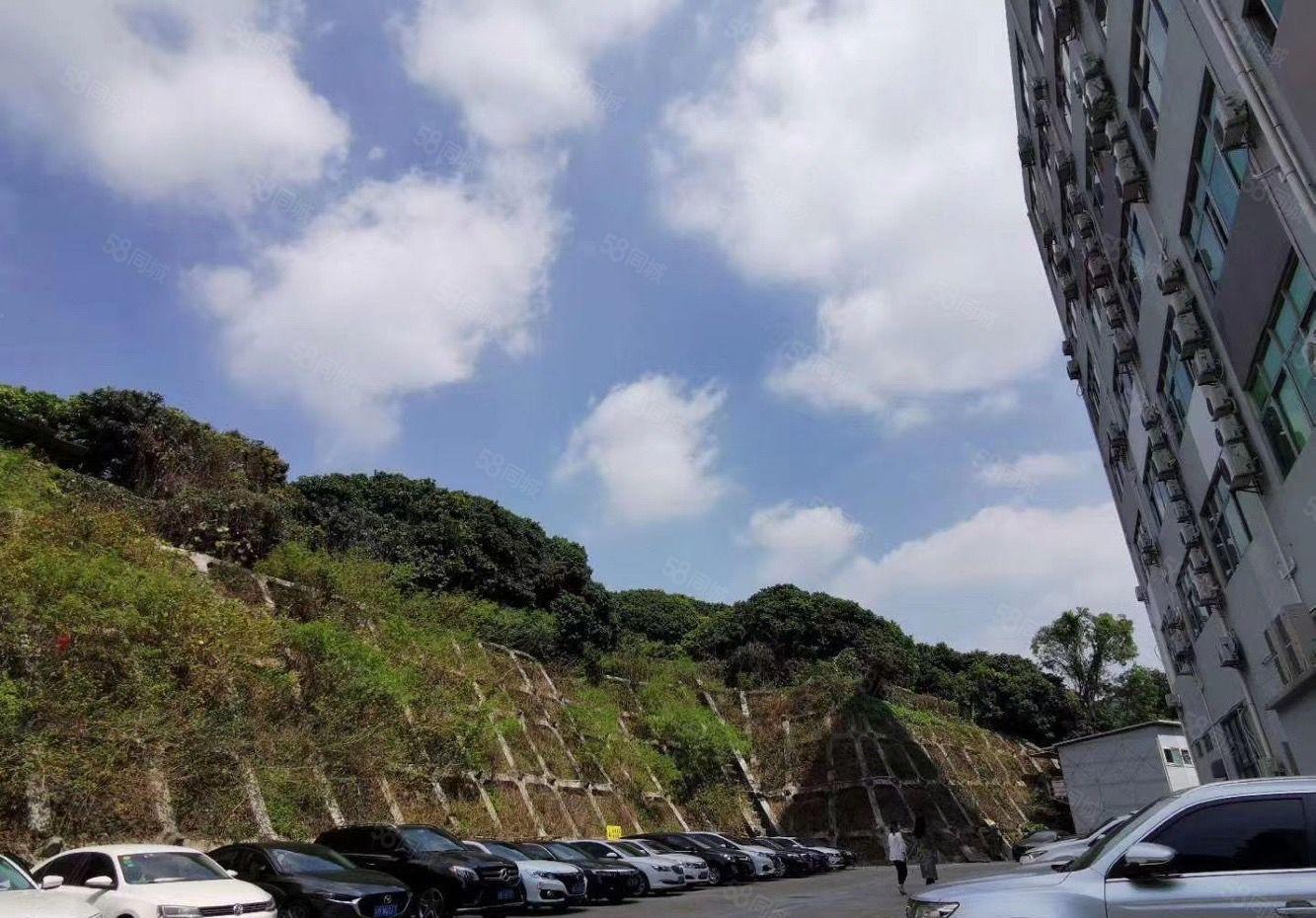 南山西丽珠光地铁口 200至800平办公室特价直租