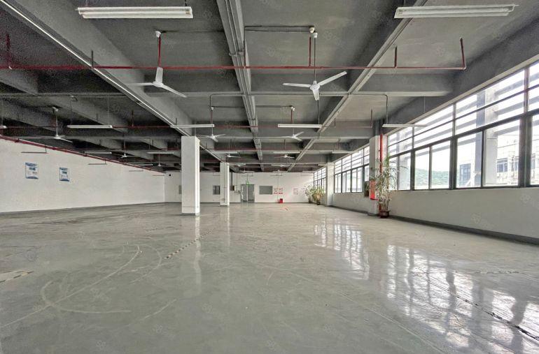 西丽百旺信工业园精装整层2780平可分租