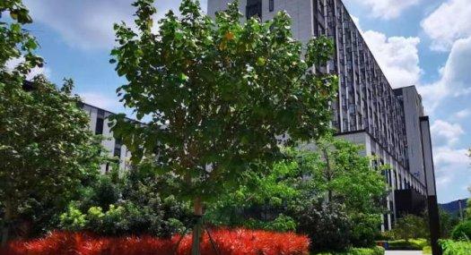 中山城建@中南联合开发全新产权厂房出售