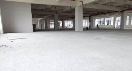 中山13125㎡ 厂房租售层高4米 配电1200KVA 独院 可环评 可分租